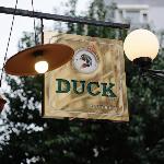 Kadıköy Duck hotel Istanbul 