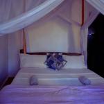 African hawk eagle Hostel