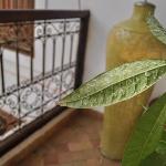 Guest houses in Marrakech 