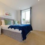 Executive Apartment Near Chiswick and Kew Gardens 