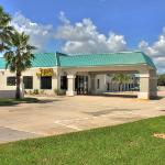 St Augustine Amphitheatre Hotels - Regency Inn & Suites - Saint Augustine