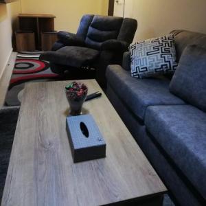 Newly furnished studio in madinaty compound 