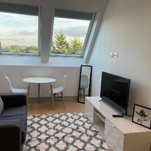 ELEGANT AND MODERN ONE BEDROOM APARTMENT IN HARROW