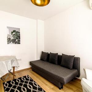 Single House Luminous and Chic Flat in Fatih