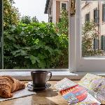 Green window an oasis of greenery and relaxation. Rome 