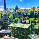 Charming Bright Highgate with balcony