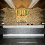 Luxurious Living at SkyPark One 