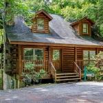 HEAVENLY HEIGHTS - GREAT LOCATION! CLOSE TO ALL THE ACTION! cabin Tennessee