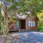 Morning Mist - Beautiful Cabin in the Arts & Crafts Community cabin Gatlinburg