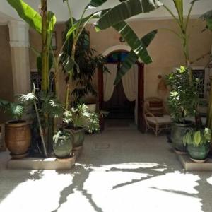 Riad Chambres D'Amis Marrakech