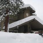 1173 Timber Lane