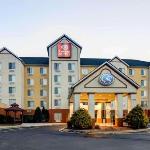 Coyote Joes Charlotte Hotels - Comfort Suites Airport Charlotte