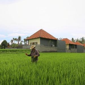 Asri Sari Villa Ubud