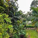 Appartement spacieux à Sainte-Rose 70 m² avec jardin Guadeloupe
