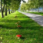 Plovers Ridge Country Retreat