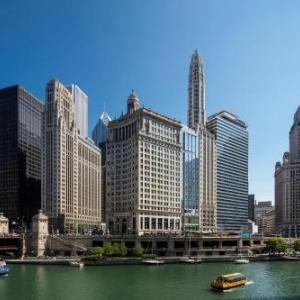 LondonHouse Chicago, Curio Collection by Hilton