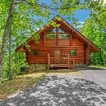 Star Views - Secluded withMountain Views cabin Gatlinburg Tennessee