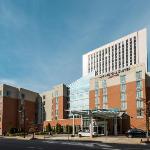 Iron City Birmingham Hotels - Springhill Suites By Marriott Birmingham Downtown At Uab