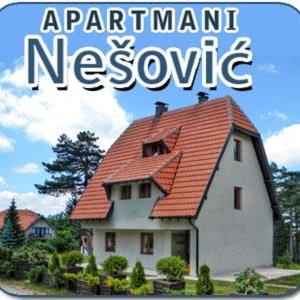 Apartments Nesovic