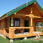 Guest accommodation in Nechayevka 