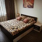 Apartament on 45 Strelkovoy Voronezh 