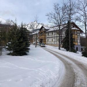 Vila Mudron - historical mountain style apartments