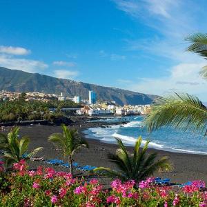 Bonito apart sea view playa jardin