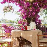 Bougainvillea house with view near the beach