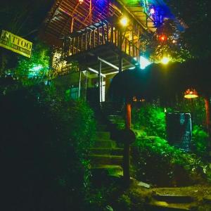 Hostal Tree House
