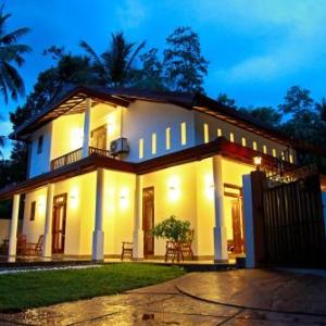Galle Camellia