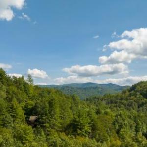 Black Bear Falls