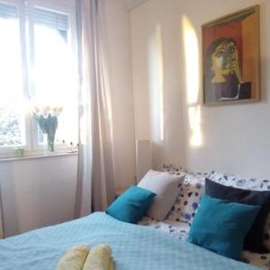 Apartment Optimist/City Break