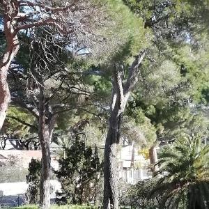 Charmant Studio a Hyeres Proche Plage et Port Parking et WIFI Inclus - FR-1-335-200