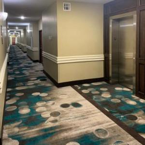 Rodeway Inn & Suites Winnfield