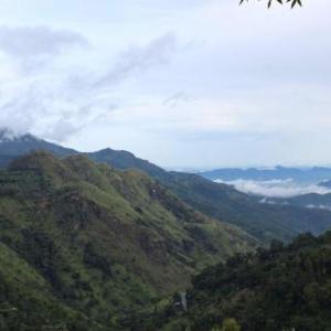 Amado Homestay Ella
