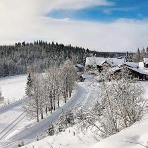 Apartment Hemsedal