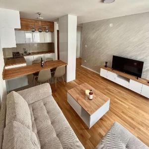 Tina Apartman Sokobanja