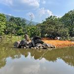 Dr Dusun (Resort&Campsite Kuala Lumpur 