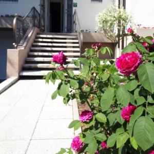 Holiday Home Ilidza Ella
