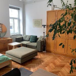 Newly renovated studio near the park and city