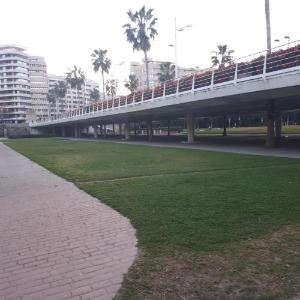 Habitacion Individual Tranquila en Valencia con Amplia Terraza para mascota