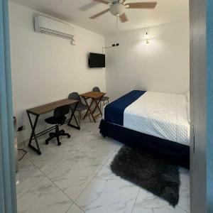 Apartaestudios La capital