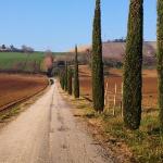 Ancient Farmhouse With Private Pool And Winery Xiv Century Osimo 