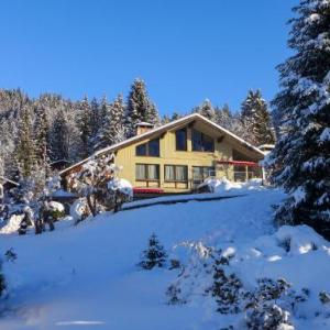 Chalet Mooshütte