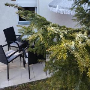 Apartman Šumski San