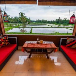 Villa Mangku in Ricefield