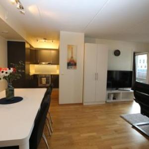 OSLO CITY CENTER 3 BEDROOMS APARTMENT MANDALLS GATE 12