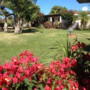 Le bungalow des bougainvilliers