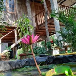 Ruk Sewana Villa Tree House