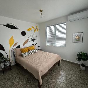 Urban Oasis in San Juan with water back up